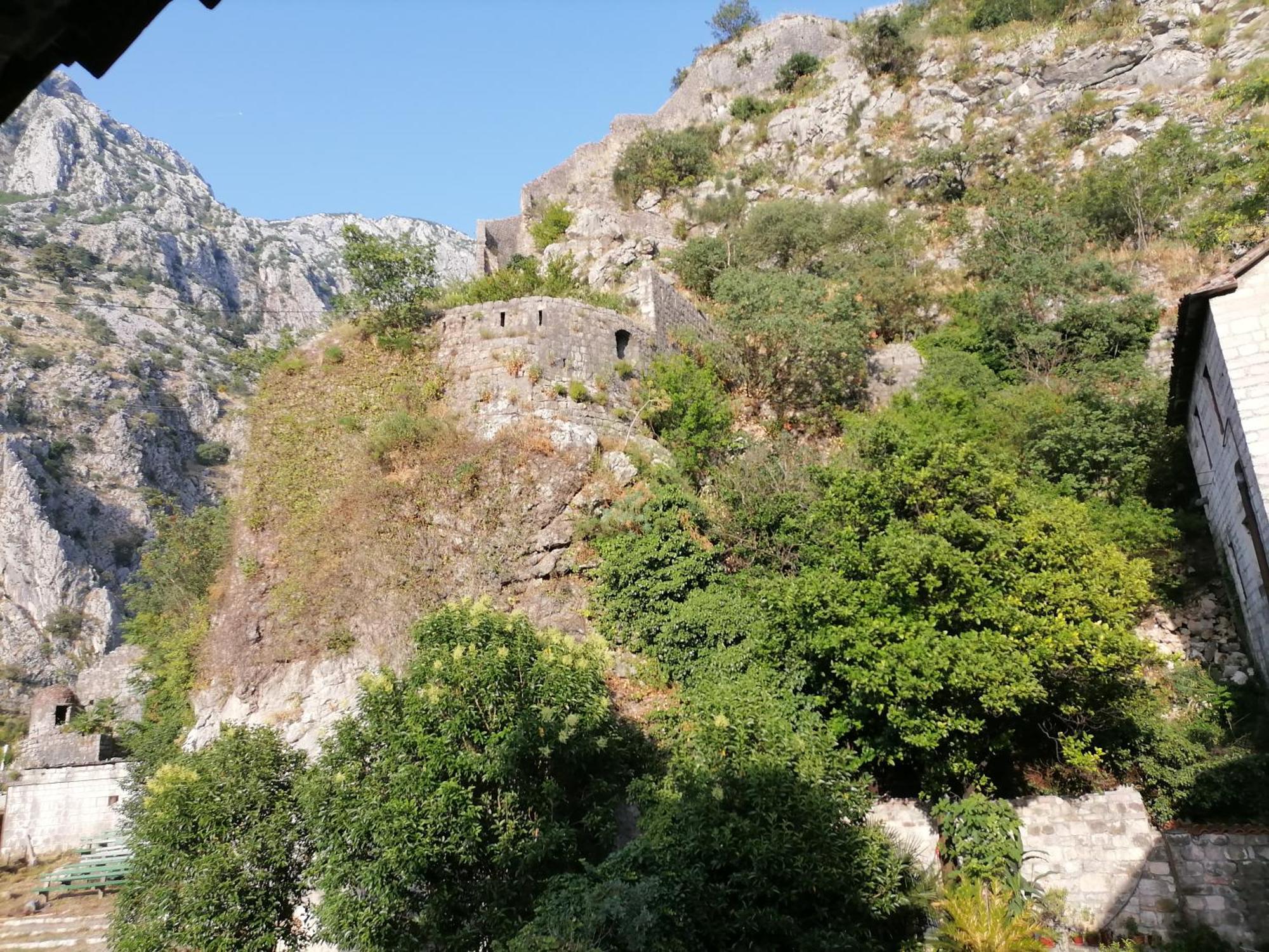 Apartments Dukic Kotor Room photo
